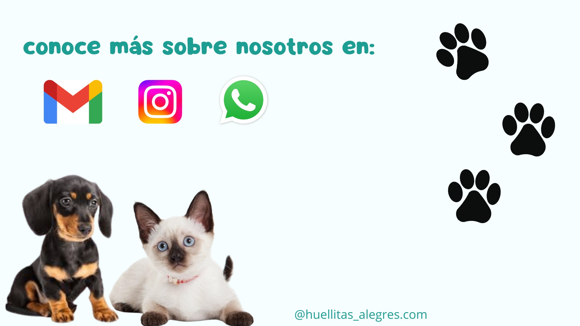 Formas de contacto